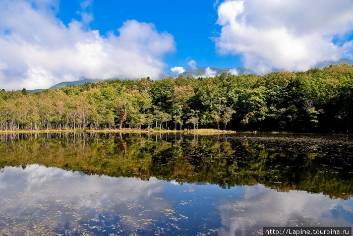 Сиретоко: один солнечный день накануне осени Национальный парк Сиретоко, Япония