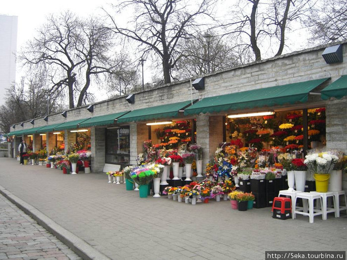 Цветочный рынок Таллин, Эстония