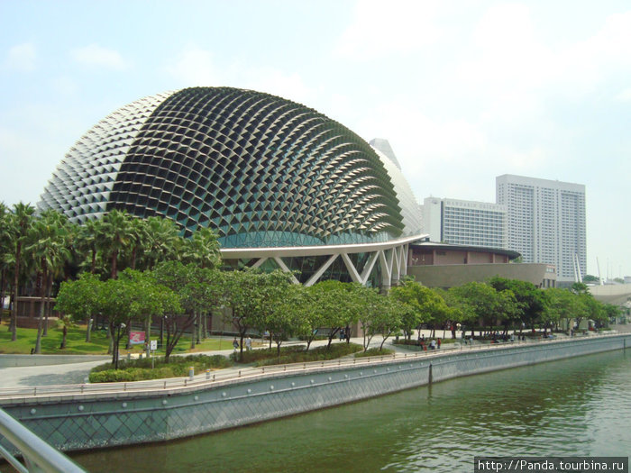 Сингапур Сингапур (город-государство)