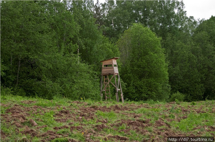 Охотничья вышка у единственного вспаханного поля, где теряются дороги Луга, Россия