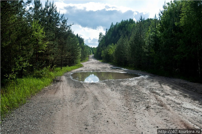 Любимая лужа Луга, Россия