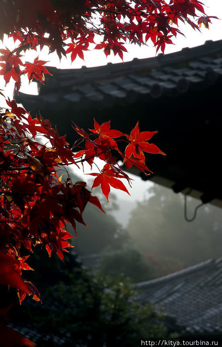 Гуляем по Киото: общие моменты Киото, Япония