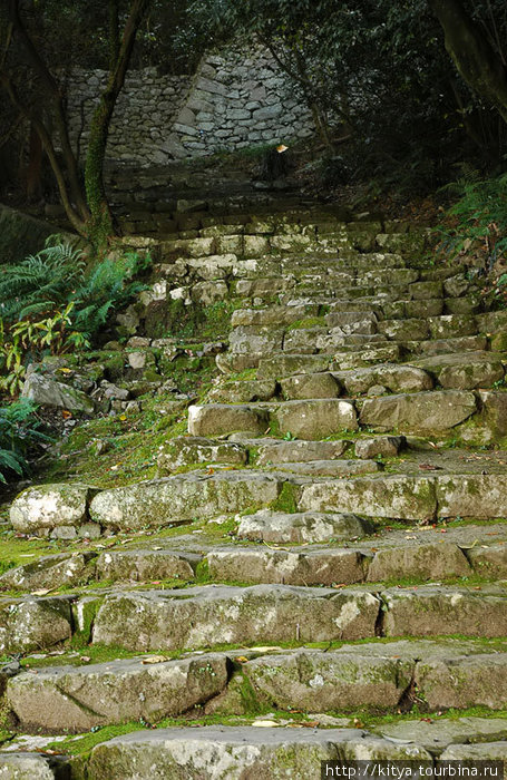Одна из многочисленных лестниц на территории замка