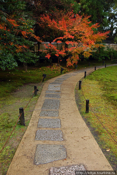 Осень в храме Сёрэн-ин Киото, Япония