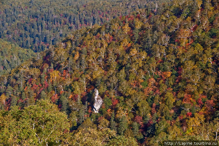 Вот-вот осень. :-) Национальный парк Дайсецудзан, Япония