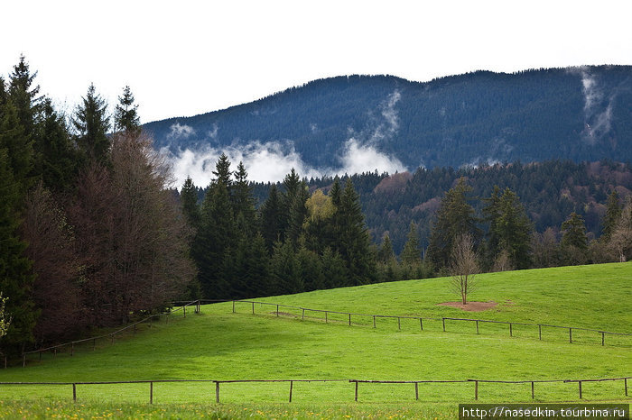 Баварские Альпы Земля Бавария, Германия