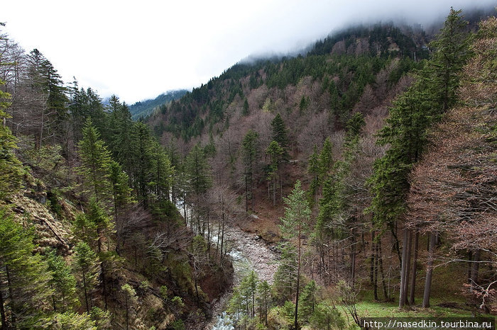 Баварские Альпы Земля Бавария, Германия