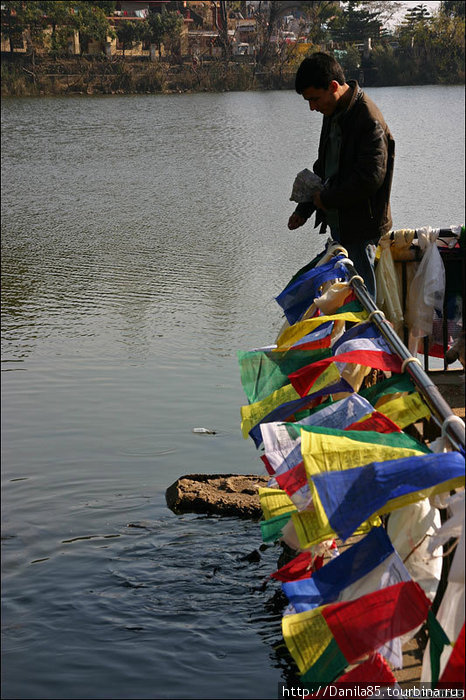 В озере нельзя ловить рыбу, зато её можно кормить. Штат Химачал-Прадеш, Индия