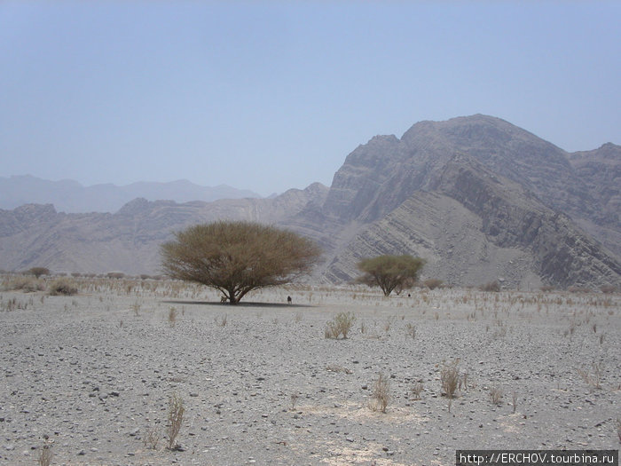 Скупая земля Мусандама Регион Мусандам, Оман