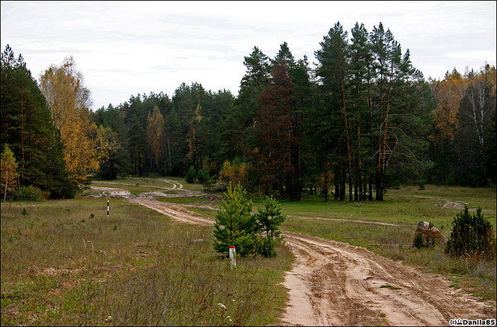 Прямо сказочная дорога. Камень с надписью имеется (снизу-справа). Судогда, Россия