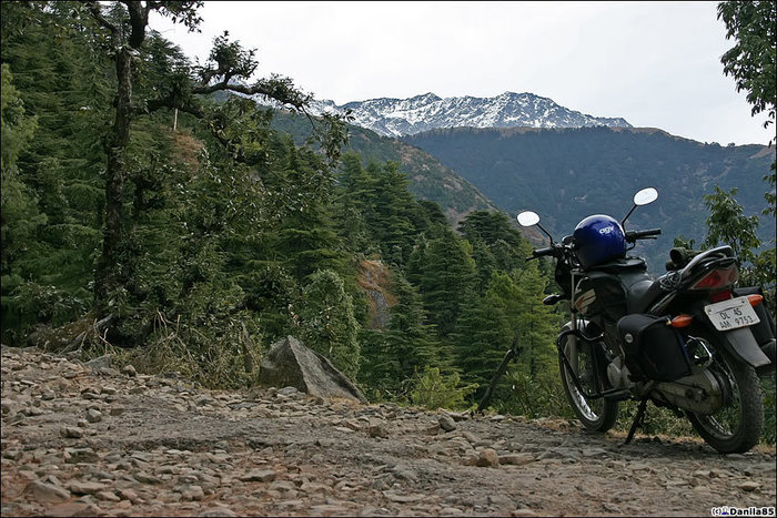 Хождение по дороге я никогда не любил, поэтому решил ехать на мотоцикле пока будет возможность. Дхарамсала, Индия