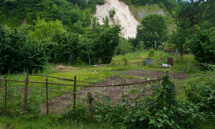 Огород Команы, Абхазия