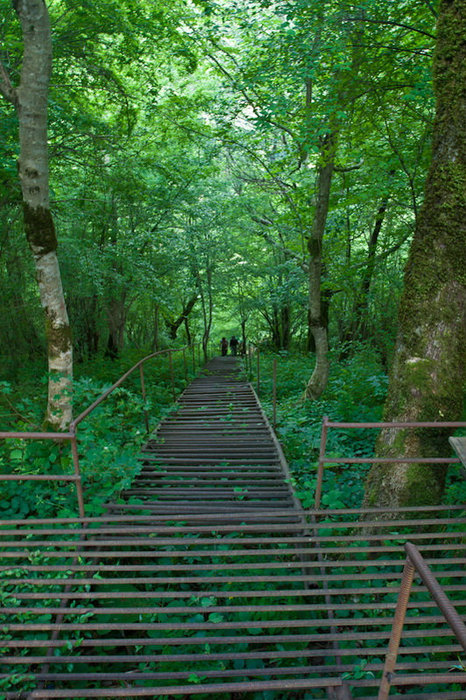 До места ведет металлическая лестница Сухумский район, Абхазия