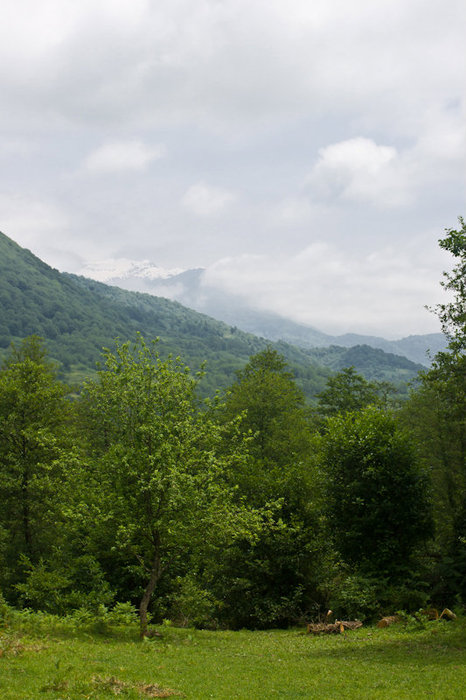 Вид на горы Абхазия