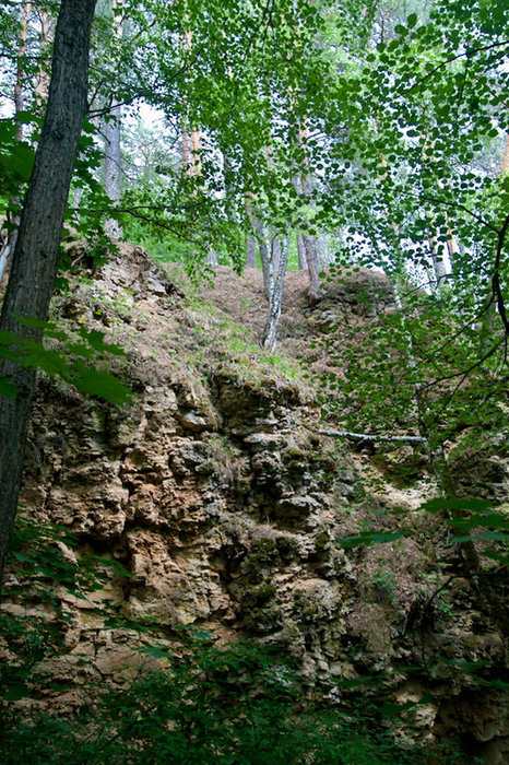 Пещеры Ичалковского бора Нижегородская область, Россия