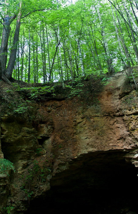 Деревья над Безымянной пещерой Нижегородская область, Россия