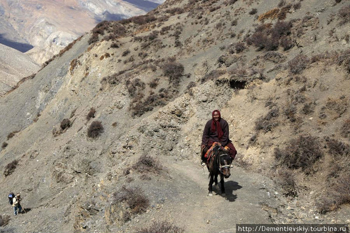 Экспедиция «Путь Бон». Часть 5 Непал