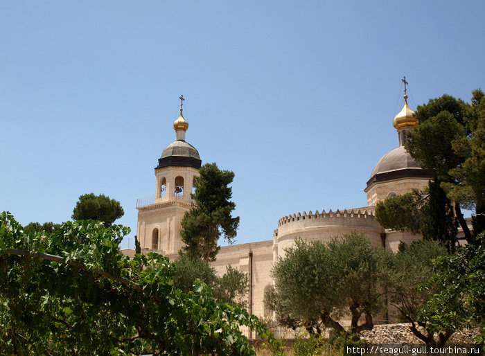 Мамврийский дуб, русский монастырь и инок Витя