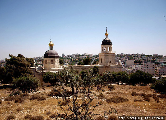 Мамврийский дуб, русский монастырь и инок Витя Хеврон, Палестина