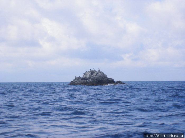 каменный остров бакланов Владивосток, Россия