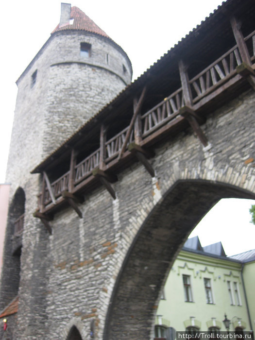 Фрагмент башни, ворота и галерея по гребню стены Таллин, Эстония