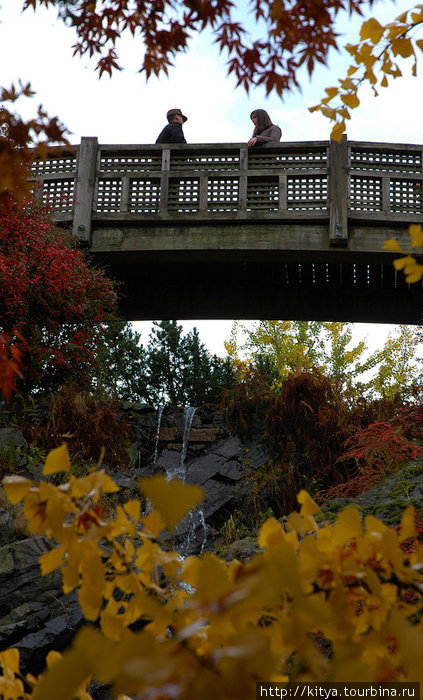 Весна и осень в Парке Королевы Елизаветы Ванкувер, Канада