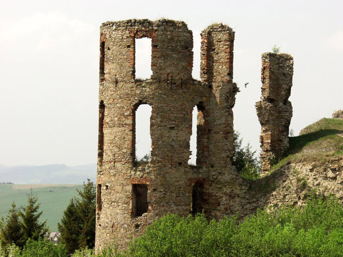 Руины замка Плавеч / Plaveč hrad