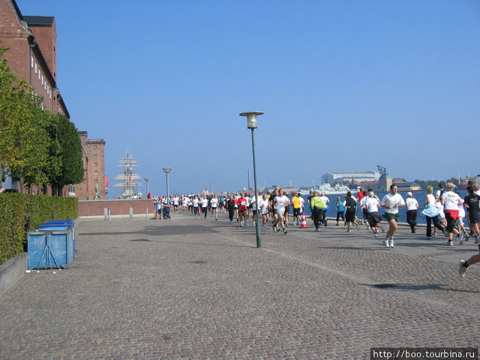 марафон вдоль набережной Копенгаген, Дания