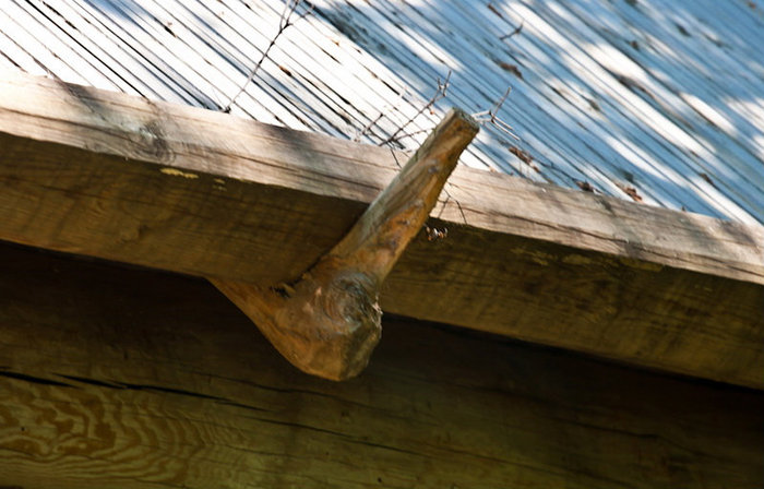 Характерный крепеж крыши — одним из корней дерева Нижний Новгород, Россия