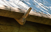 Характерный крепеж крыши — одним из корней дерева