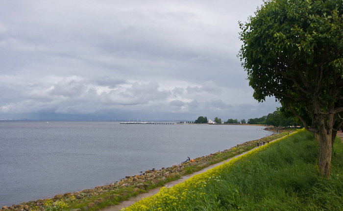 Пасмурный Петергоф Санкт-Петербург, Россия