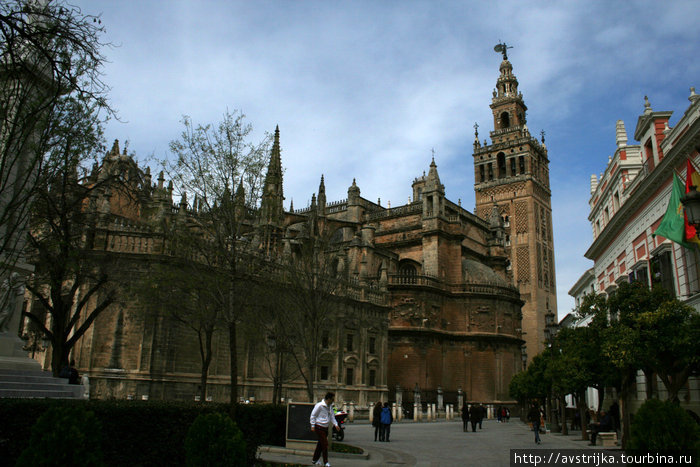 Севильский кафедральный собор Севилья, Испания
