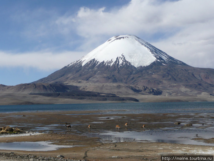 Вулкан Паринакота 6,633м. и лагуна Чунгора 4,400.По вулкану проходит граница с Боливией. Сантьяго, Чили