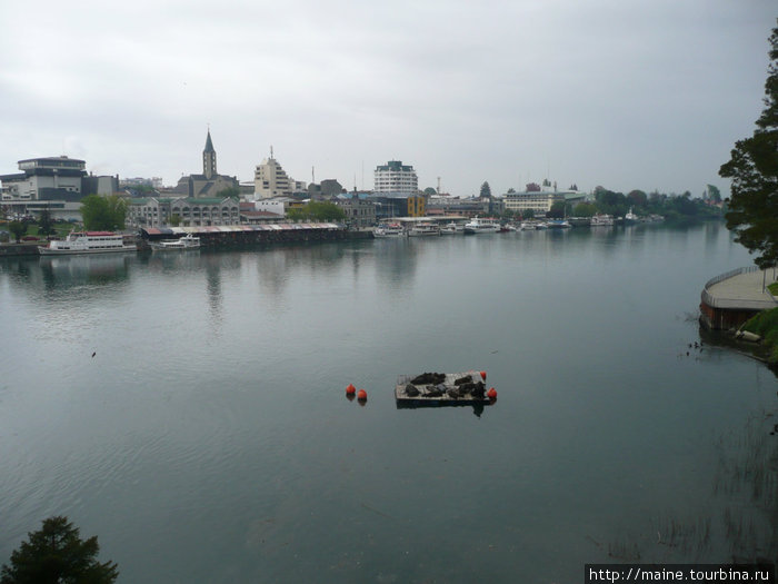 Город Валдивия.Морские львы отдыхают. Сантьяго, Чили