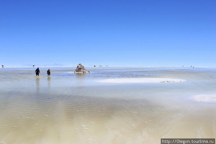 Довольные туристы ходят и бегают прямо по воде Уюни, Боливия