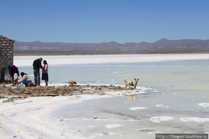 Дом и семейство посреди соляного озера Уюни, Боливия