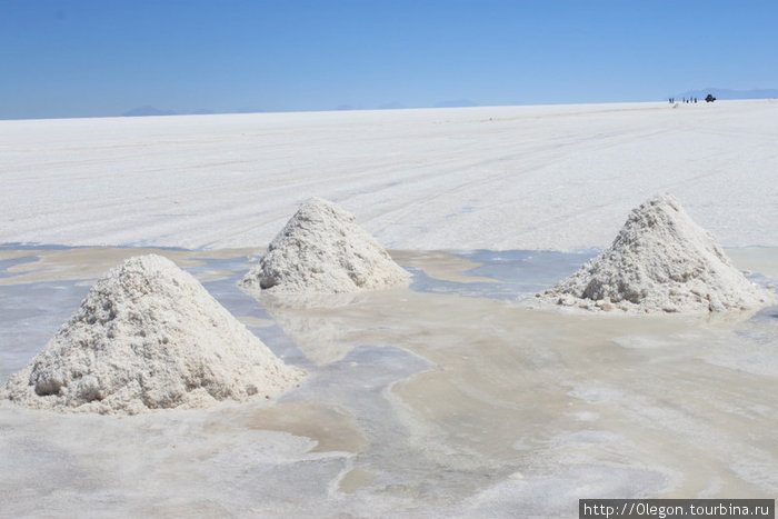 Запас соли в 10 млрд тонн