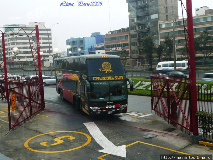 Автобус люкс-класса. Внизу 12 спальных кресел.На ахвтобусах этой компании можно доехать до Буенас Айрес Аргентина. Перу
