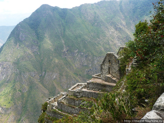 Строения на Waynapicchu 2,750м. Эта гора очень отвесная.Как здесь строили,брали воду и жили-это загадка. Перу