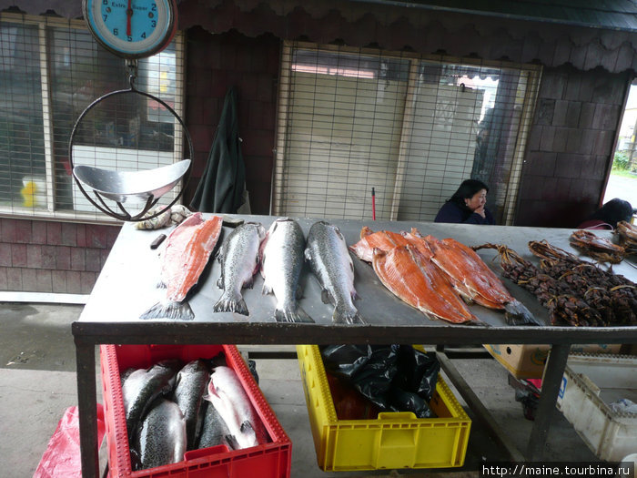 На рыбном рынке в Пуерто -Мотт. Мы здесь набрали в дорогу копченой семги за 3 долл.за увесистую упаковку. Сантьяго, Чили