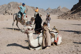 катание на верблюдах в Аравийской пустыне