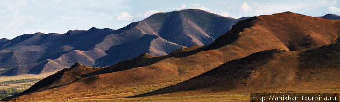 холмы Монголия