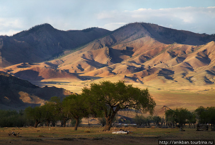 долина р.Селенга Монголия