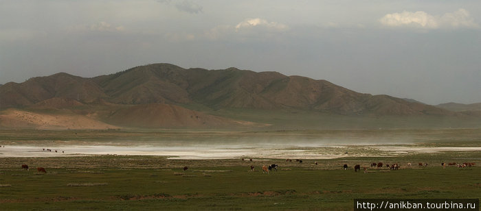соленое озеро Монголия