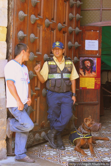 Даже церкви охраняются с собаками Лима, Перу