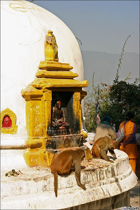 За кадром остался фонтан со скульптурой посередине, куда все азартно кидают монеты, пытаясь попасть. Катманду, Непал