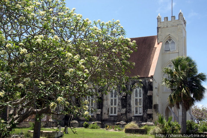 Англиканская церковь Ви-Крейн, Барбадос
