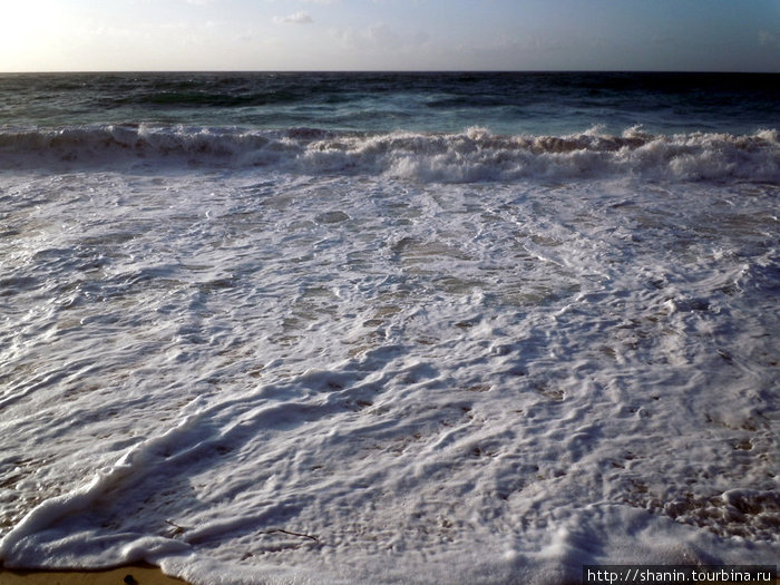 Океанские волны Ви-Крейн, Барбадос