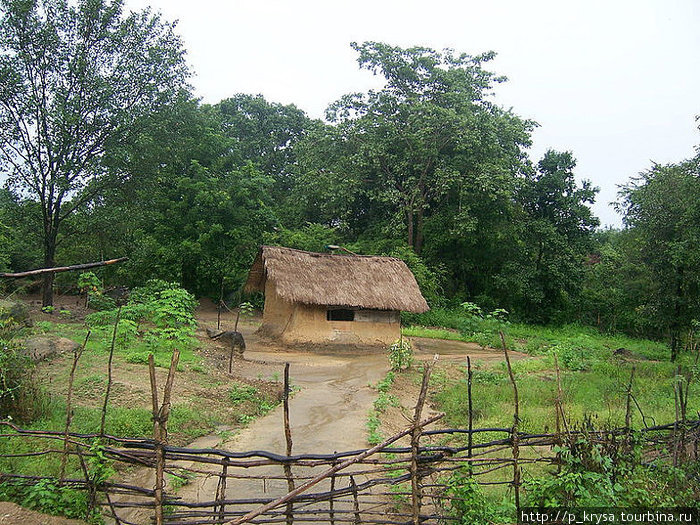 Живут ведды вот в таких простых глиняных домиках Шри-Ланка