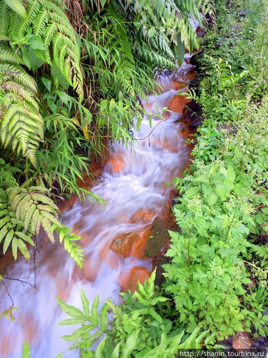 Воду можно пить прямо из ручья Округ Сент-Джордж, Доминика